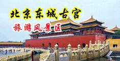 欧美性爱抠逼视频中国北京-东城古宫旅游风景区